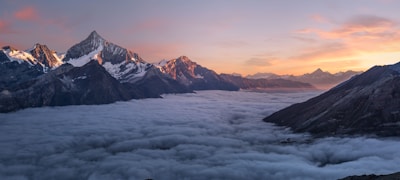 记者在赛场边进行实时采访报道